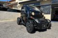 RENAULT TWIZY 45 2019